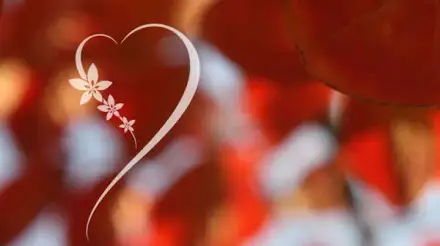 Foto von Pflegedienst von Herz zu Herz