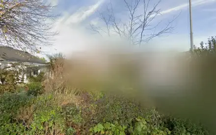 Foto von PFLEGEWOHL24 - Betreuung - Pflegevermittlung