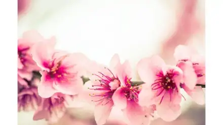Foto von Pflegezentrum Pusteblume Braunschweig