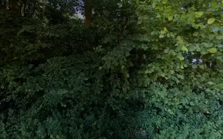 Foto von Pharmdisan Pflege GGmbH Ambulanter Pflegedienst