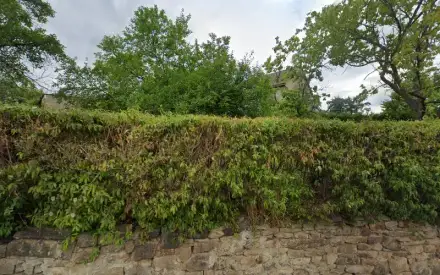 Foto von Privater Pflegedienst Simank