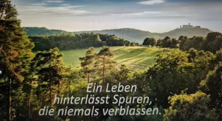 Foto von PTW-Palliativ Team Wartburgregion GmbH