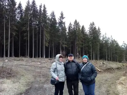 Foto von Schulz Stephanie Allgemeine Familienhilfe u. Betreuung