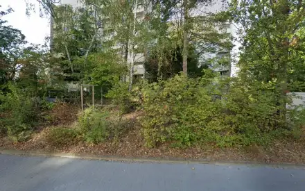 Foto von Senioren-Assistenz Mainz