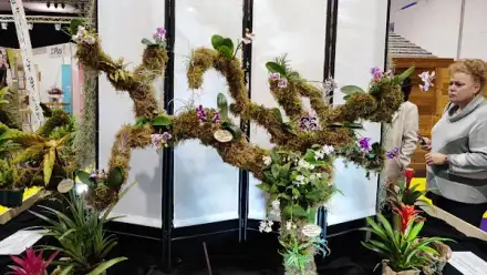 Foto von Seniorenbetreuung Heike Georgia Lange