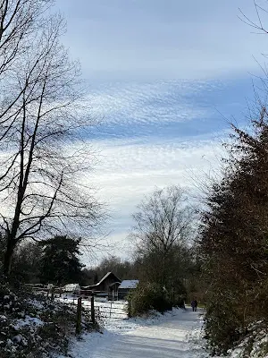 Foto von Seniorenbetreuung mit Herz