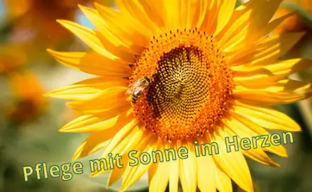 Foto von Sonne Pflegedienst Hamburg GmbH