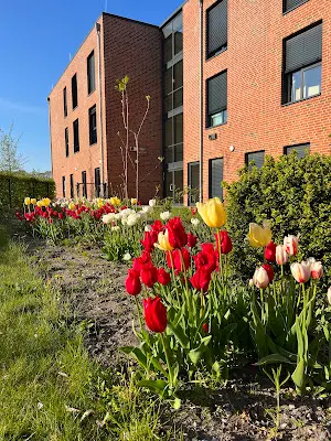 Foto von Stader Betreuungsdienste gGmbH - Ambulante Pflege; Pflegeheim; Tagespflege; Ambulanter Seniorenservice