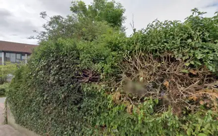 Foto von Tagespflege im Katharina-von-Bora-Haus