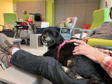 Foto von Tagespflege Pflegedienst des Diakonischen Werkes