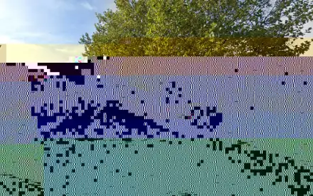 Foto von Via Vita Ambulante Pflege Gbr