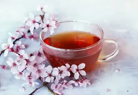 Foto von vivacus Seniorenbetreuung